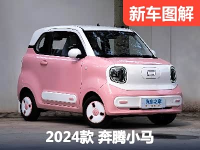 可爱呆萌小精灵驾到 实拍体验奔腾小马