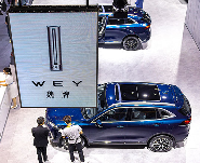 媒体称魏牌CEO冯复之“休假”，或因未达成魏建军提出的目标