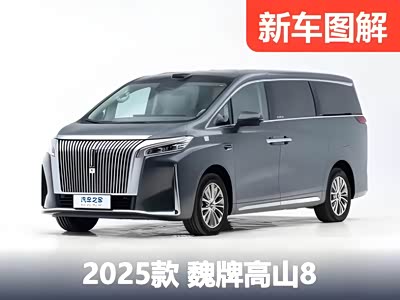 宜商宜家“新平衡”？！首发魏牌高山8静态体验！