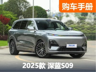 30万内最具性价比的大型SUV？深蓝S09五款配置该如何选