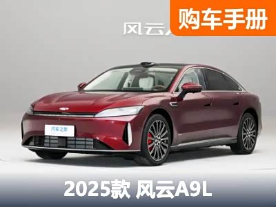 定位中大型轿车 CLTC续航230公里 4/5座可选 奇瑞风云A9L该如何选