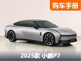 21.98万起，入门配置即拉满！全新小鹏P7怎么选？