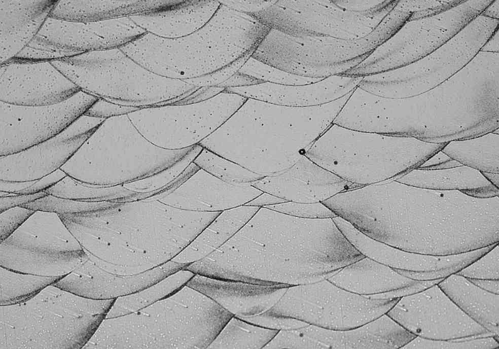 名古屋大学发明3D打印铝合金新方法 以制造更坚固的汽车零部件
