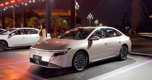 谁提前锁定2025年插混销量TOP10？｜看见2025