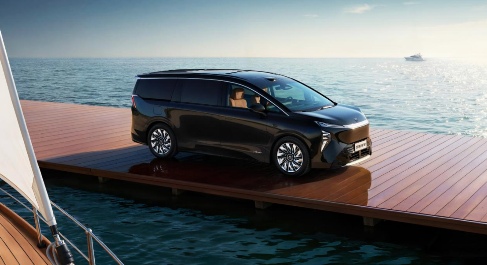 谁提前锁定2025年插混销量TOP10？｜看见2025