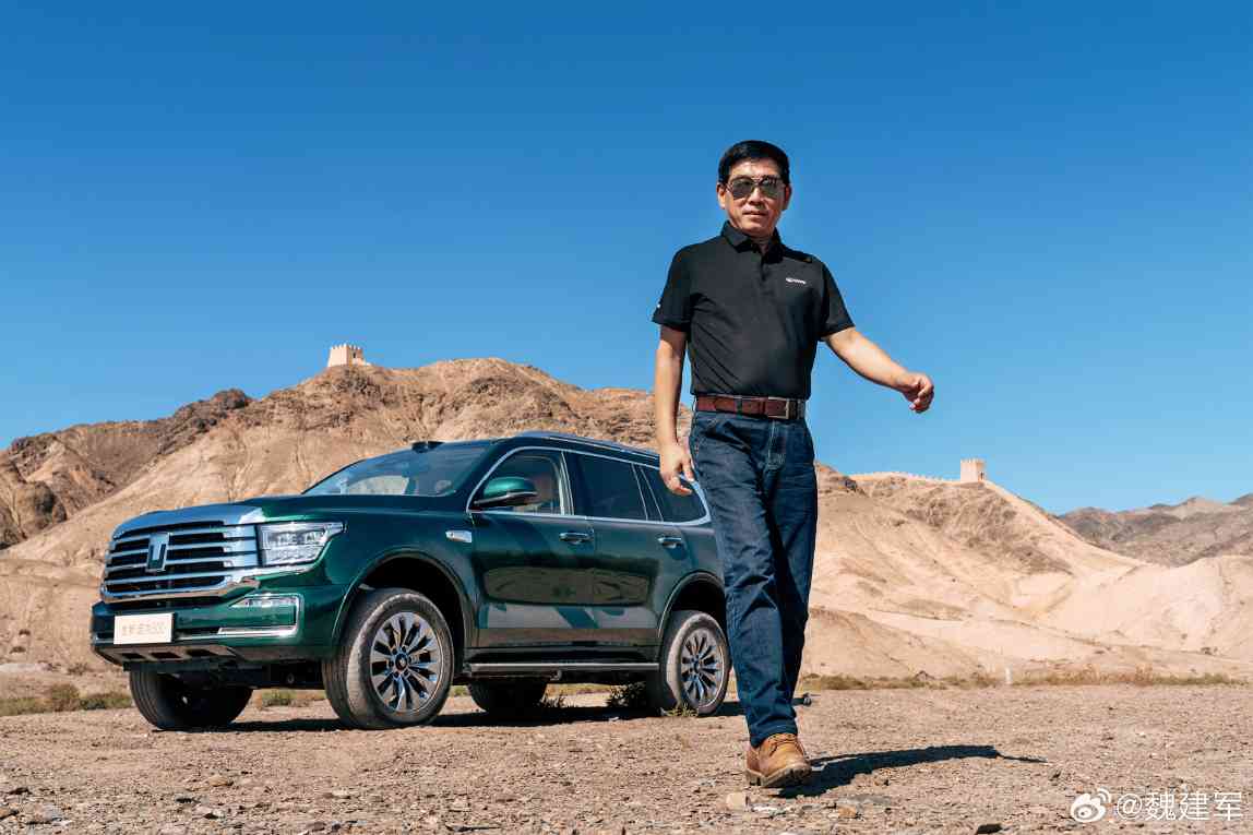 “耿直人”魏建军